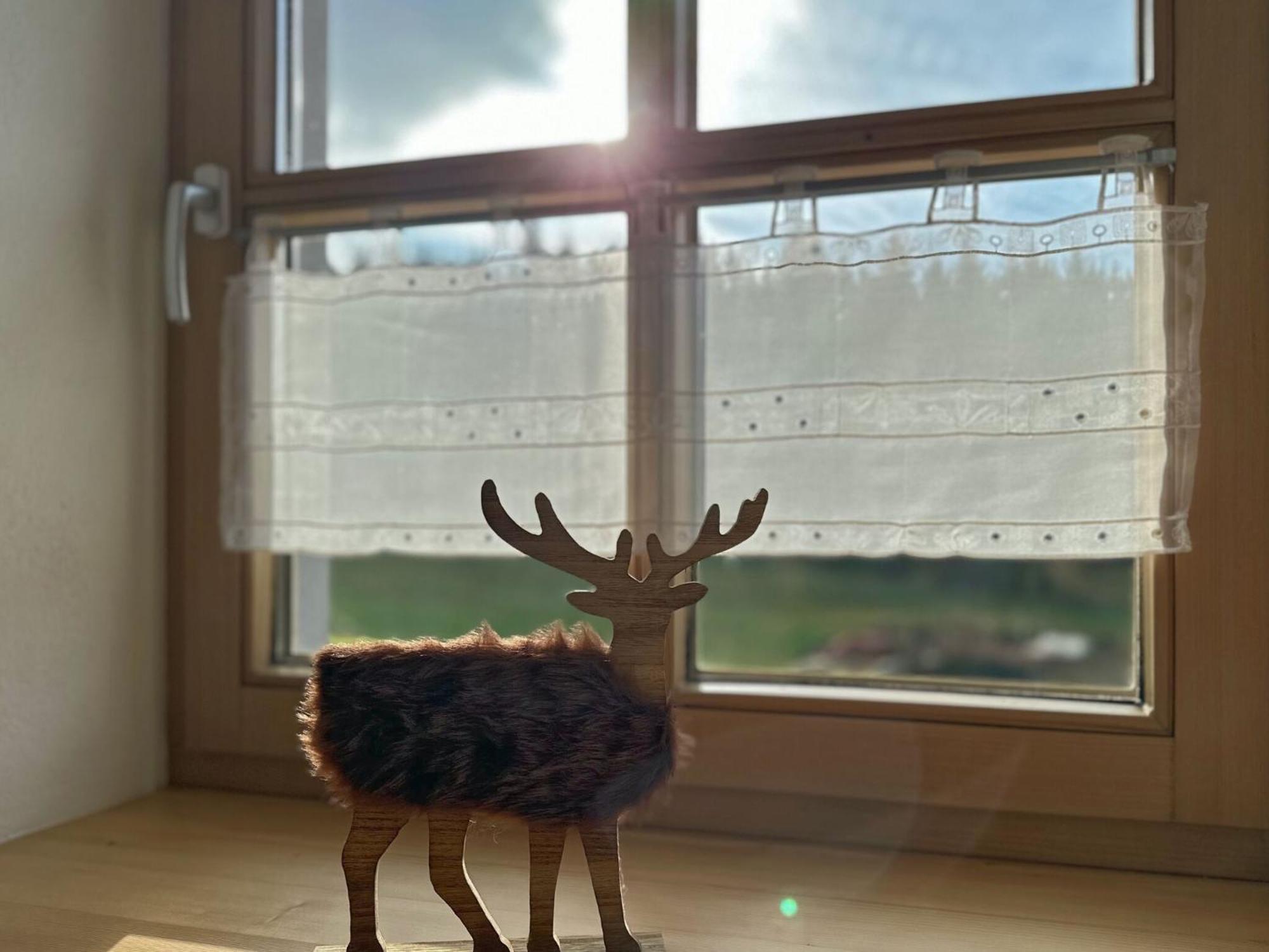 Ferienwohnung Im Bayerischen Wald Mit Terrasse Viechtach Buitenkant foto