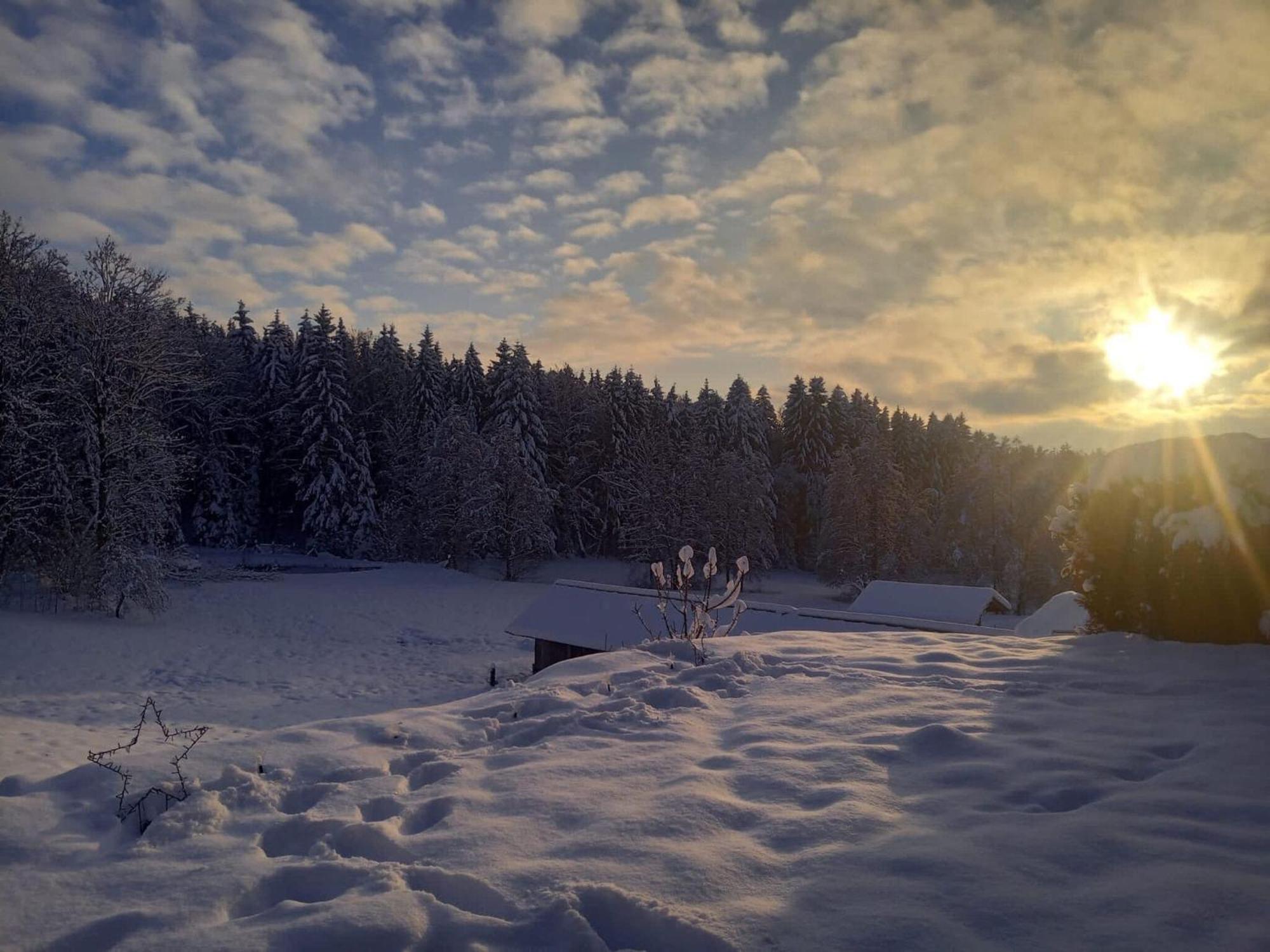 Ferienwohnung Im Bayerischen Wald Mit Terrasse Viechtach Buitenkant foto