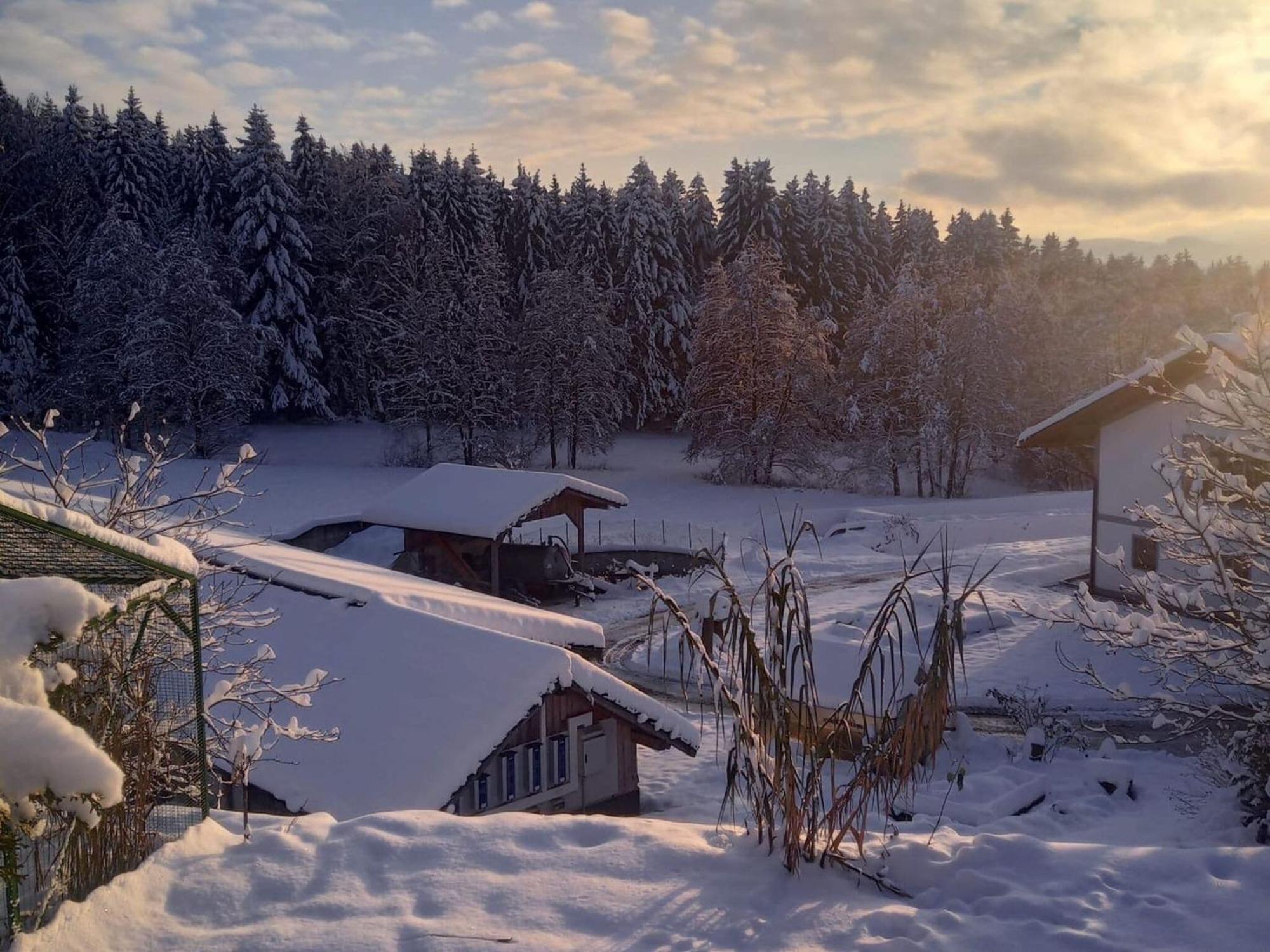 Ferienwohnung Im Bayerischen Wald Mit Terrasse Viechtach Buitenkant foto